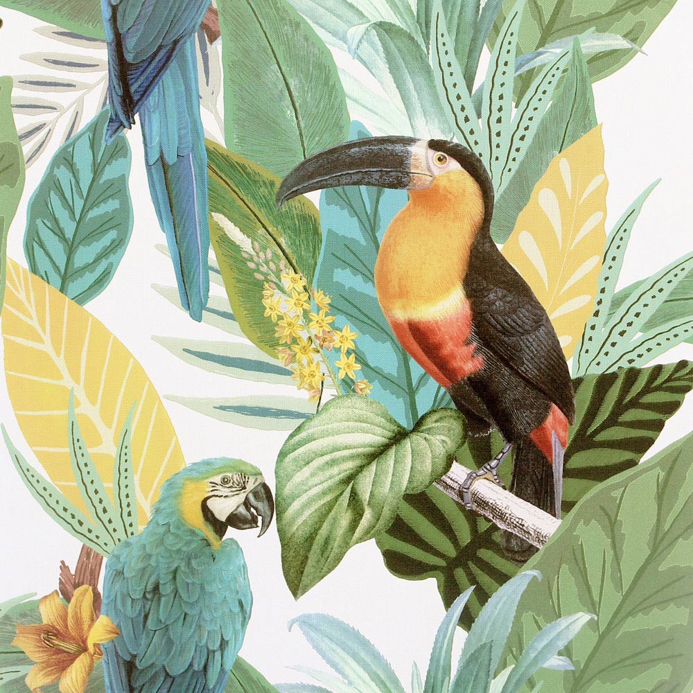 Arthouse Toucan Jungle Multicolour Wallpaper Image 1
