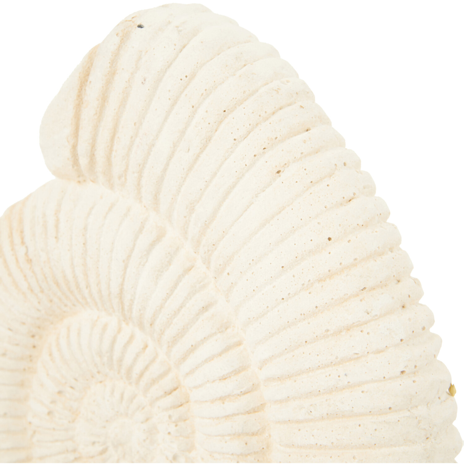 Mari Shell Ornament - White Image 3