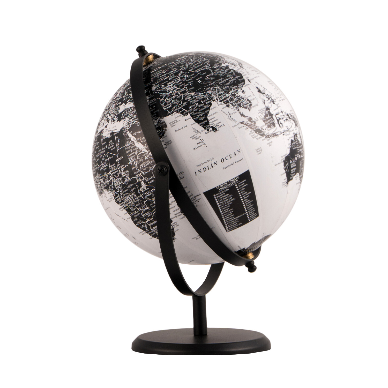 Black and White Monochrome Globe Image 2