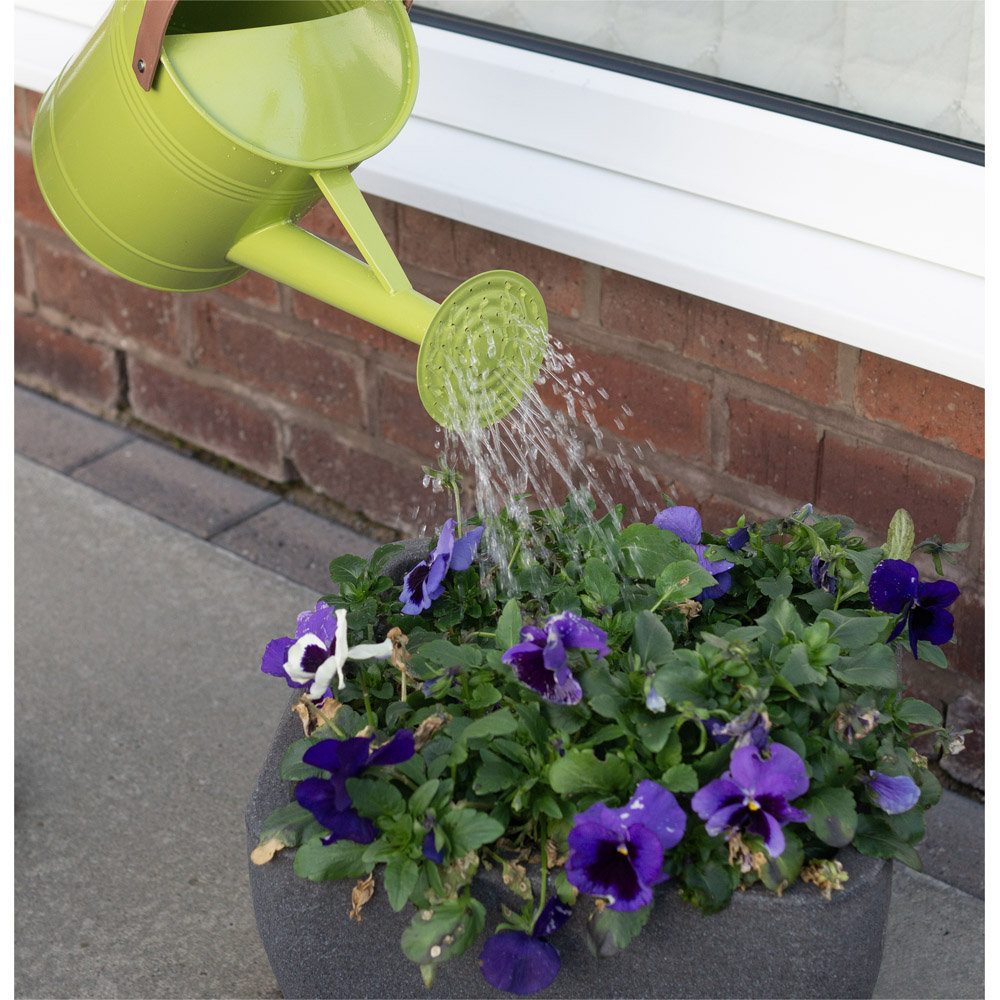 St Helens Green Metal Watering Can with Sprinkler Nozzle 4.5L Image 3