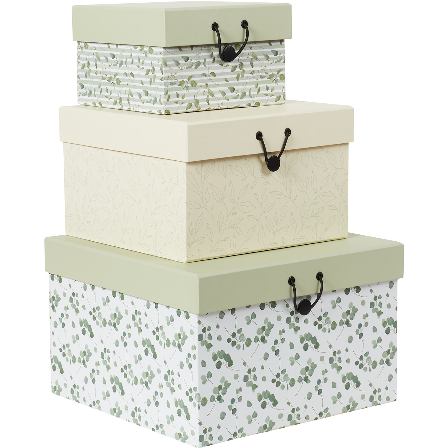 Set of 3 Eucalyptus Print Boxes - Green Image 1