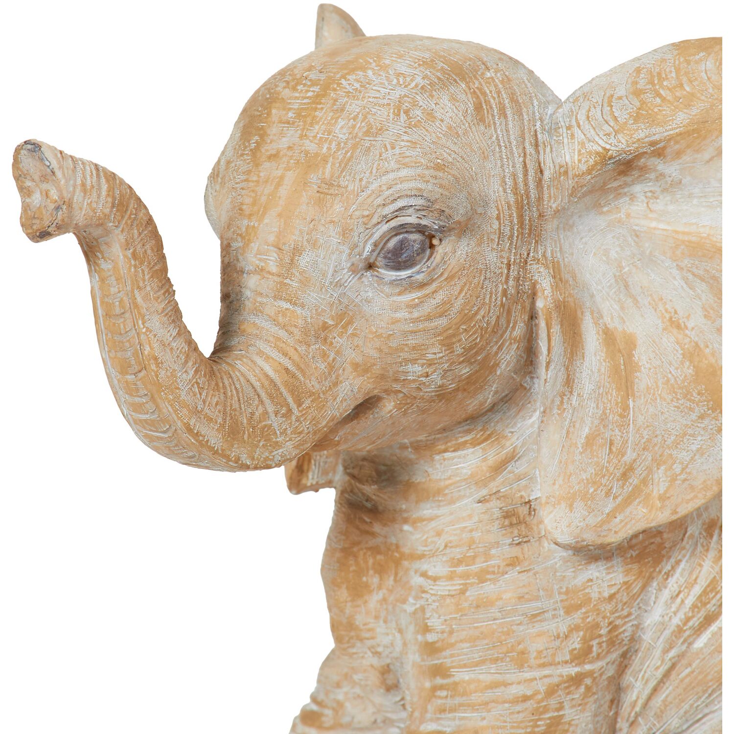 Ebony the Elephant - Natural Image 4