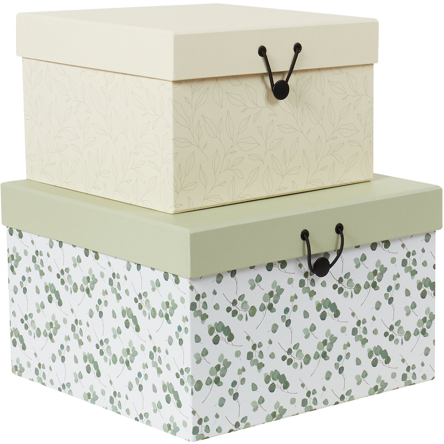 Set of 3 Eucalyptus Print Boxes - Green Image 2