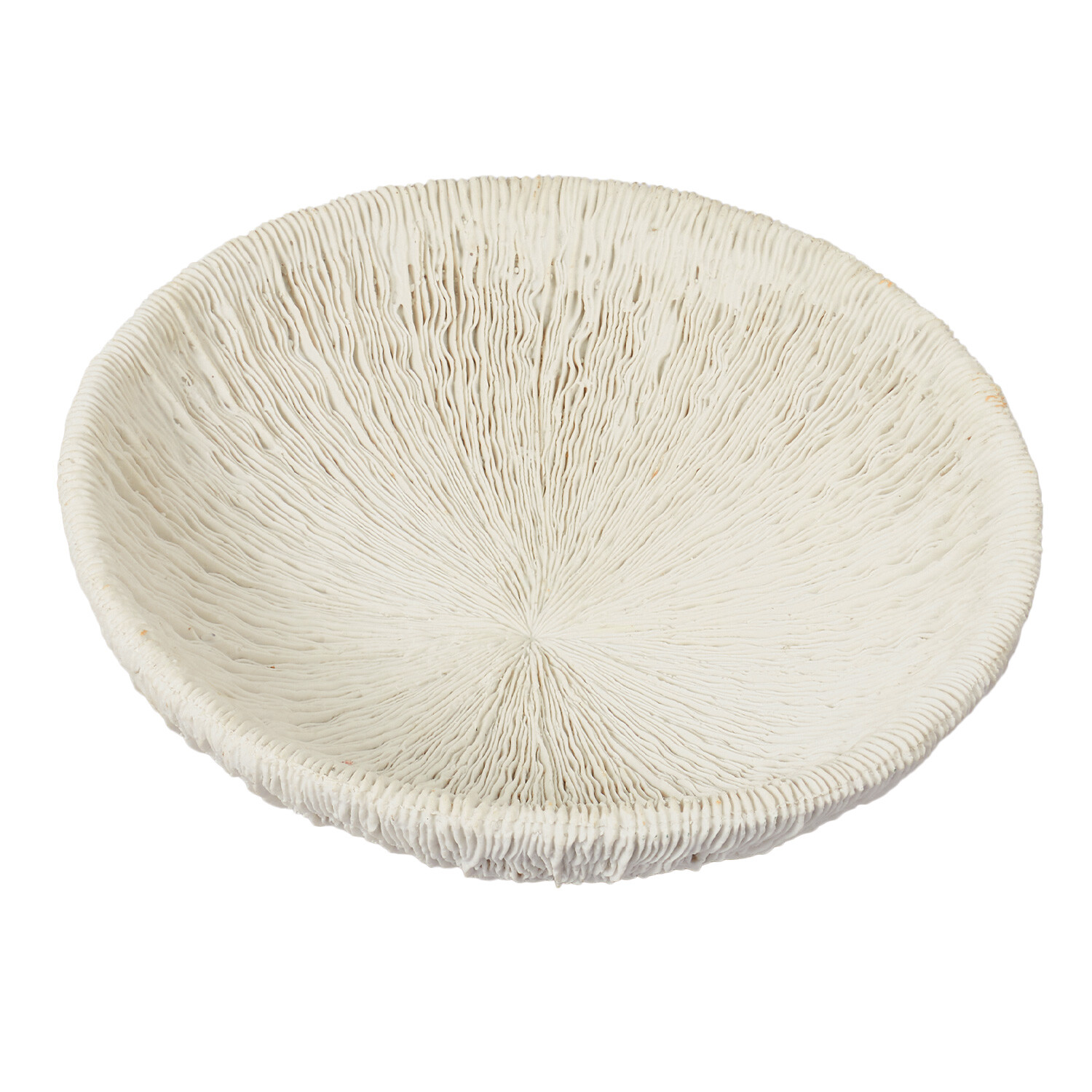 Sofia Textured Bowl - White Image 2