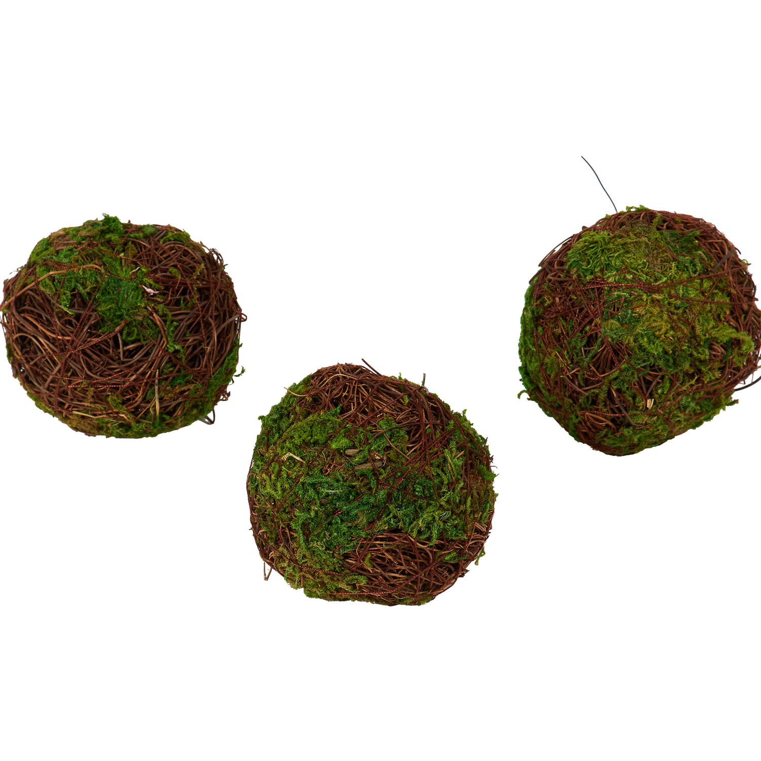 Pack of 6 Moss Balls - Green Image 4