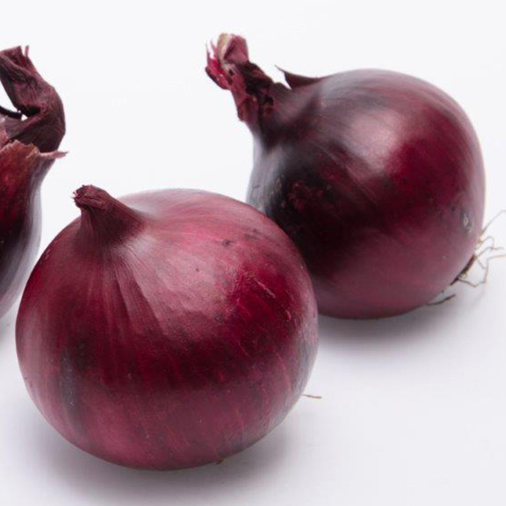 wilko Red Baron Onion Sets 250gm Image 1