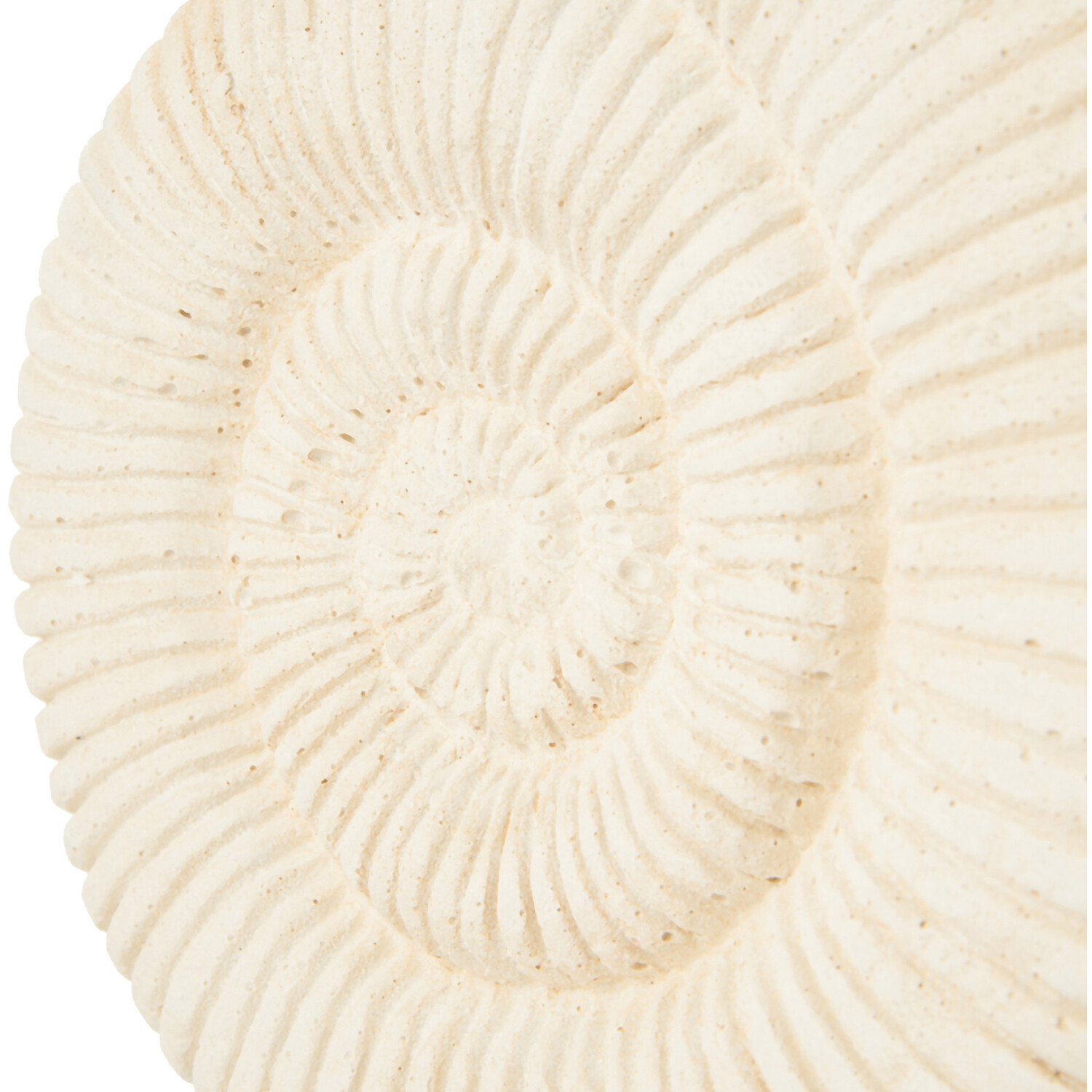 Mari Shell Ornament - White Image 4