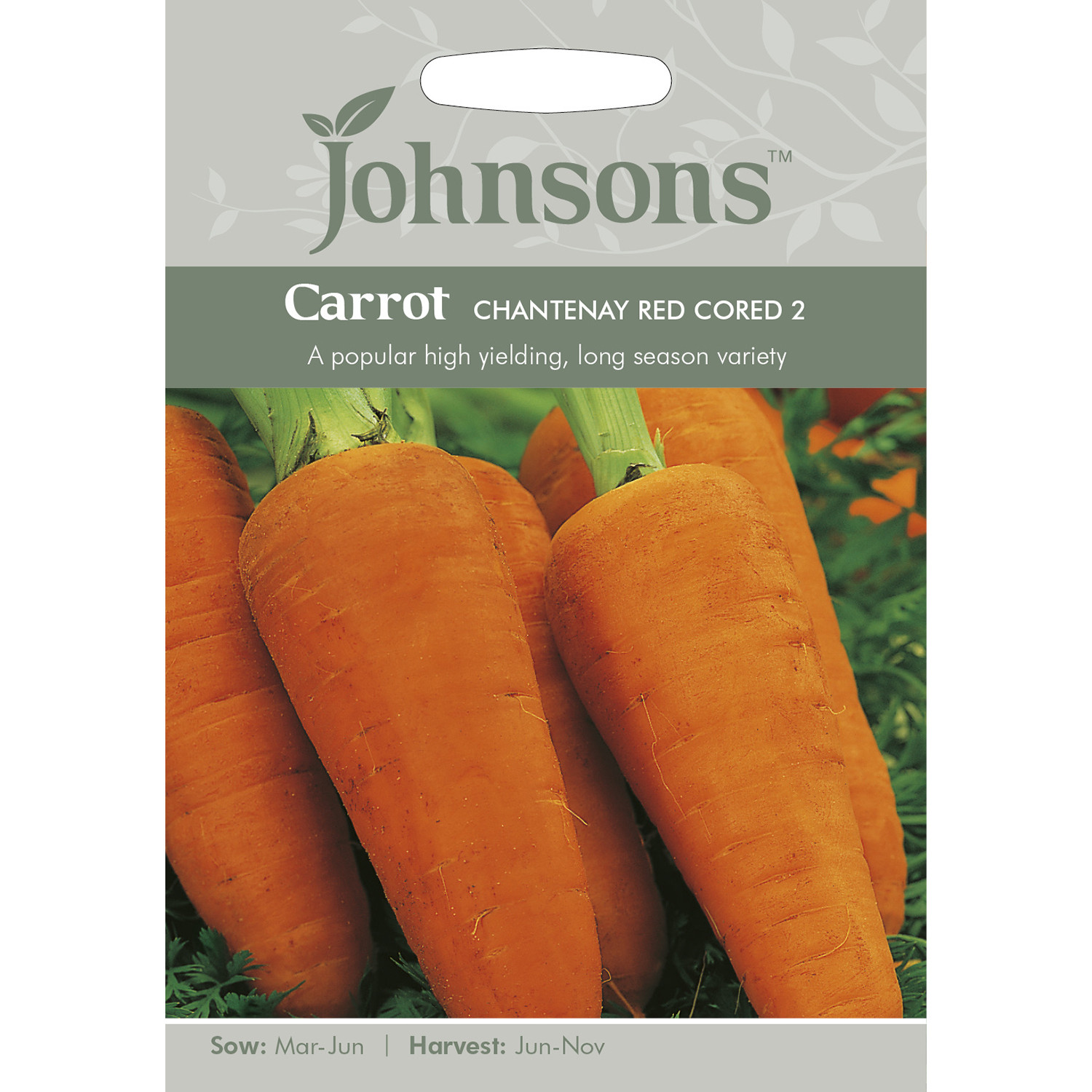 Johnsons Chantenay Red Cored Carrot Seeds Image 2