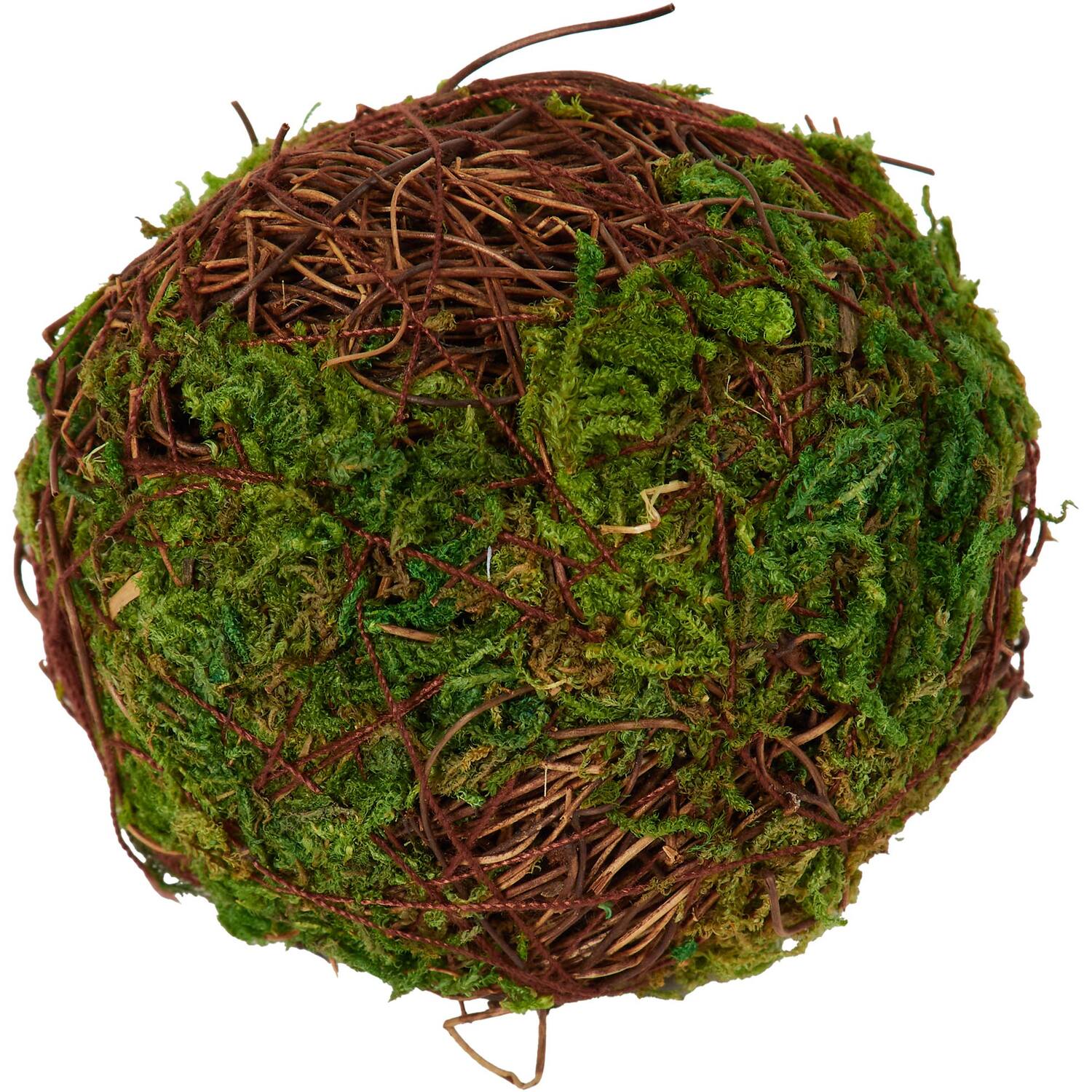 Pack of 6 Moss Balls - Green Image 3
