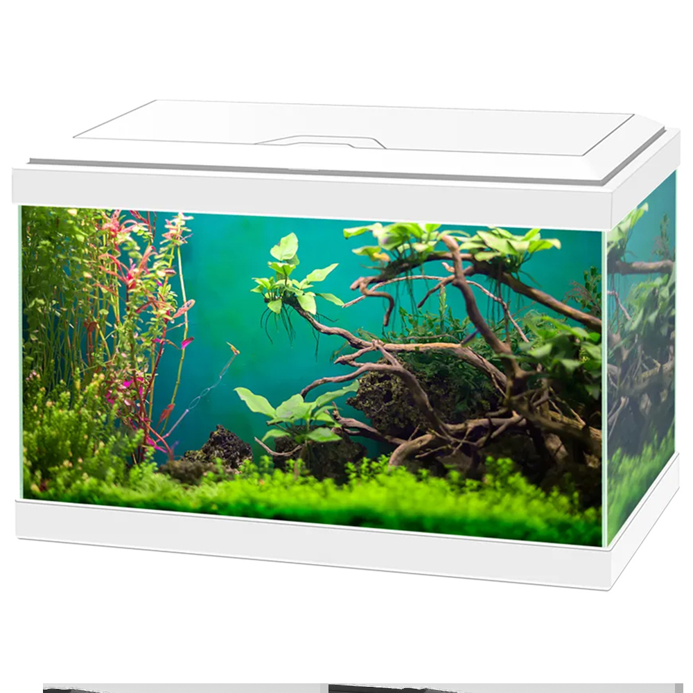 Ciano Aqua 20 Classic White Aquarium with LED Light 17L Image 1
