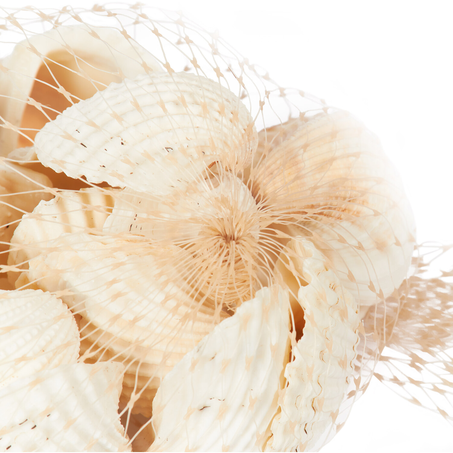 Shells in Net Bag - Natural Image 4