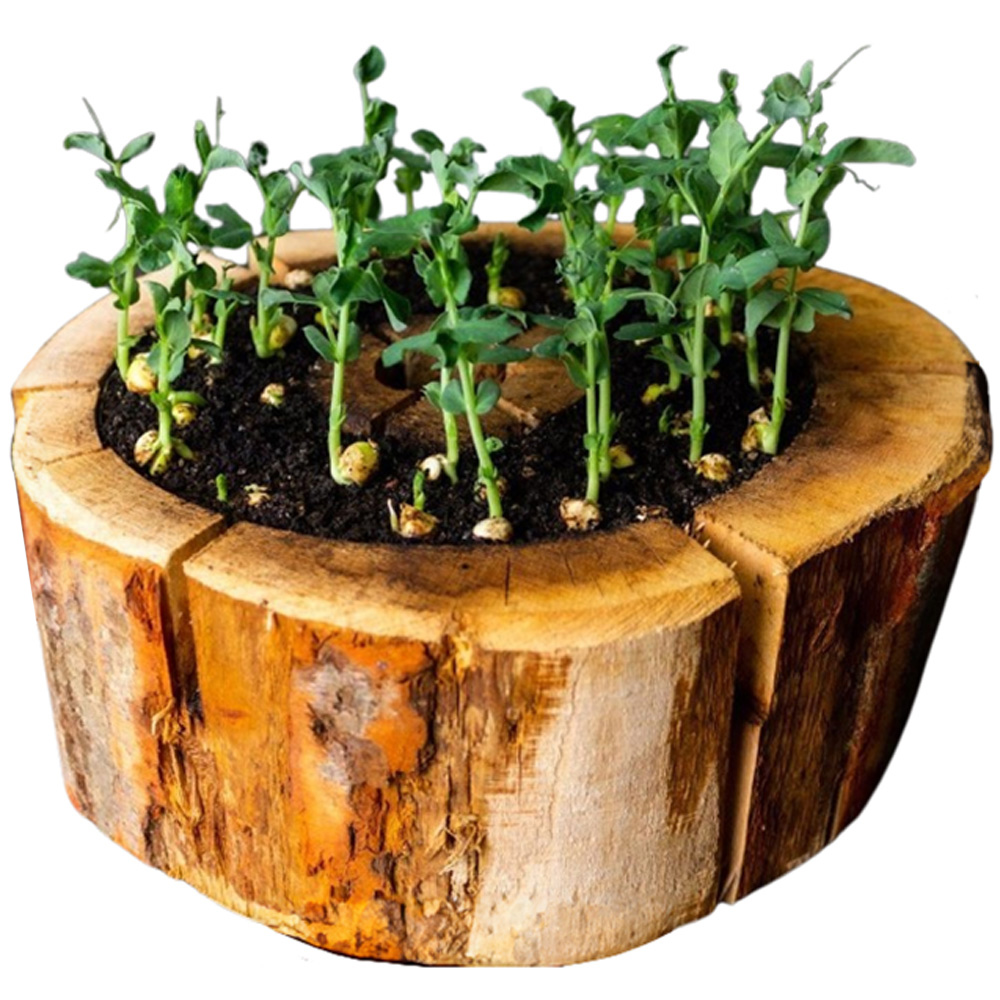 Eco Grill Organic Pod Round Planter Image 1