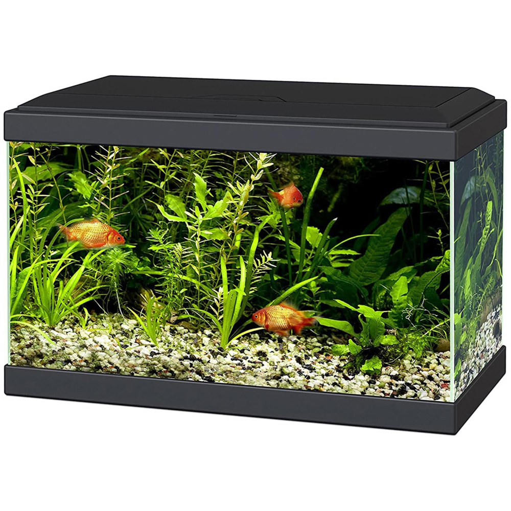 Ciano Aqua 20 Classic Black Aquarium with LED Light 17L Image 1