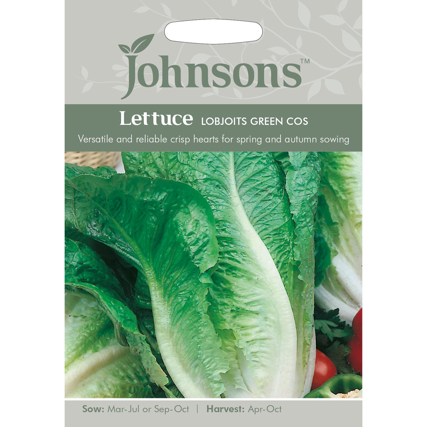 Pack of Lettuce Lobjoits Green Cos Seeds Image 1