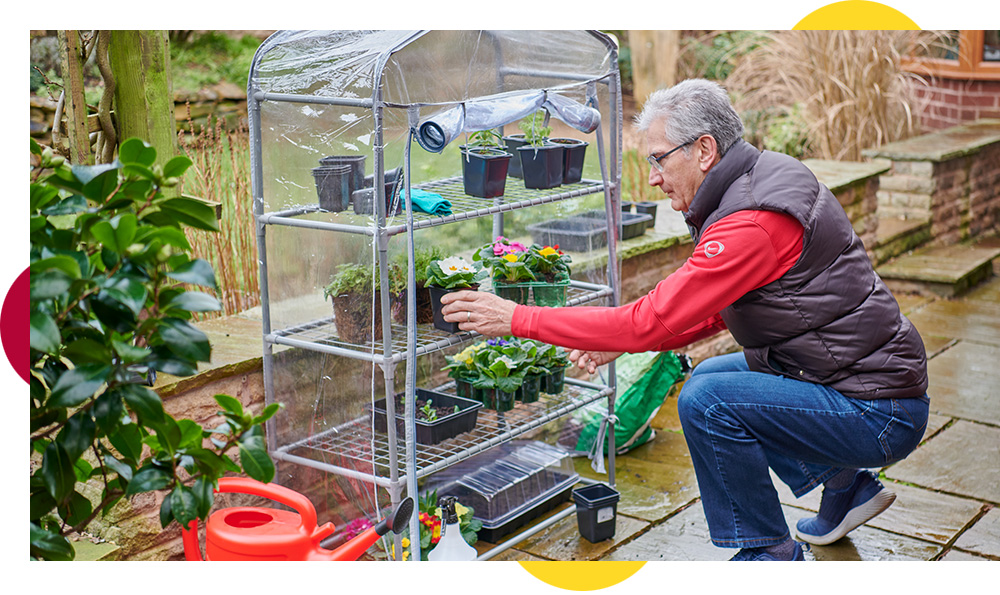 A beginner’s guide to greenhouse growing
