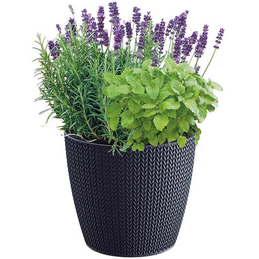 Scented Herb Gift Set Image 1