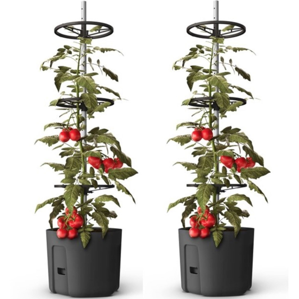 Gardenico Black Self Watering Tomato Planter with Extendable Trellis 39cm 2 Pack Image 2
