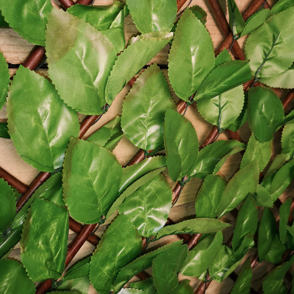Samuel Alexander Artificial Beech Leaf Garden Trellis 100cm x 200cm Image 2