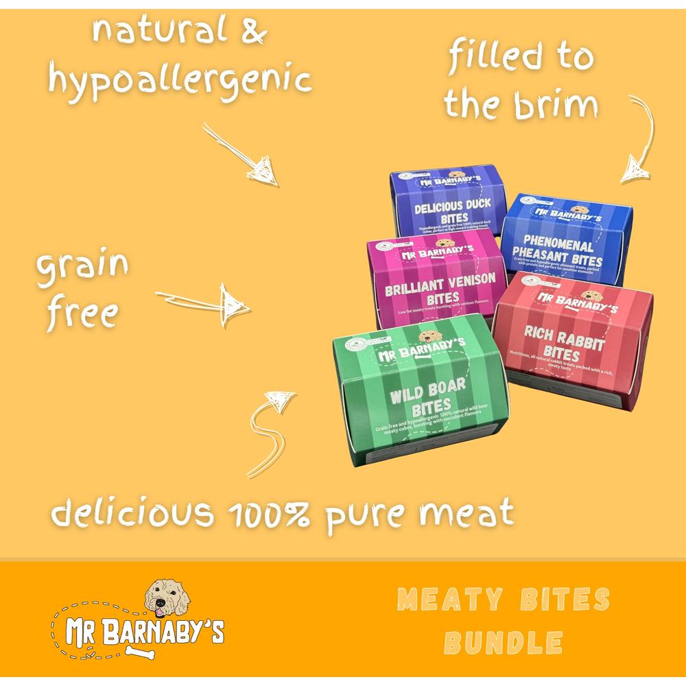 Mr Barnaby's Meaty Bites Dog Treats Bundle 5 Pack Image 3