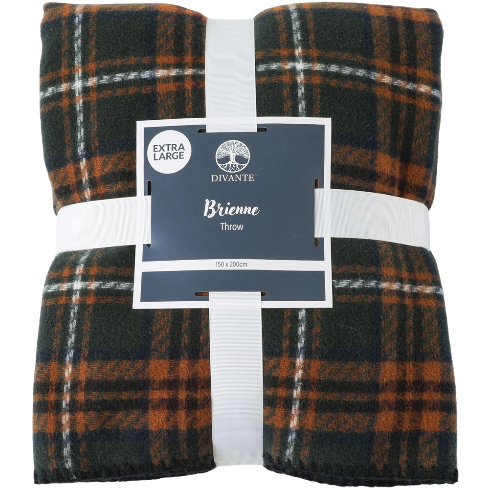 Brienne Tartan Check Throw Image 1