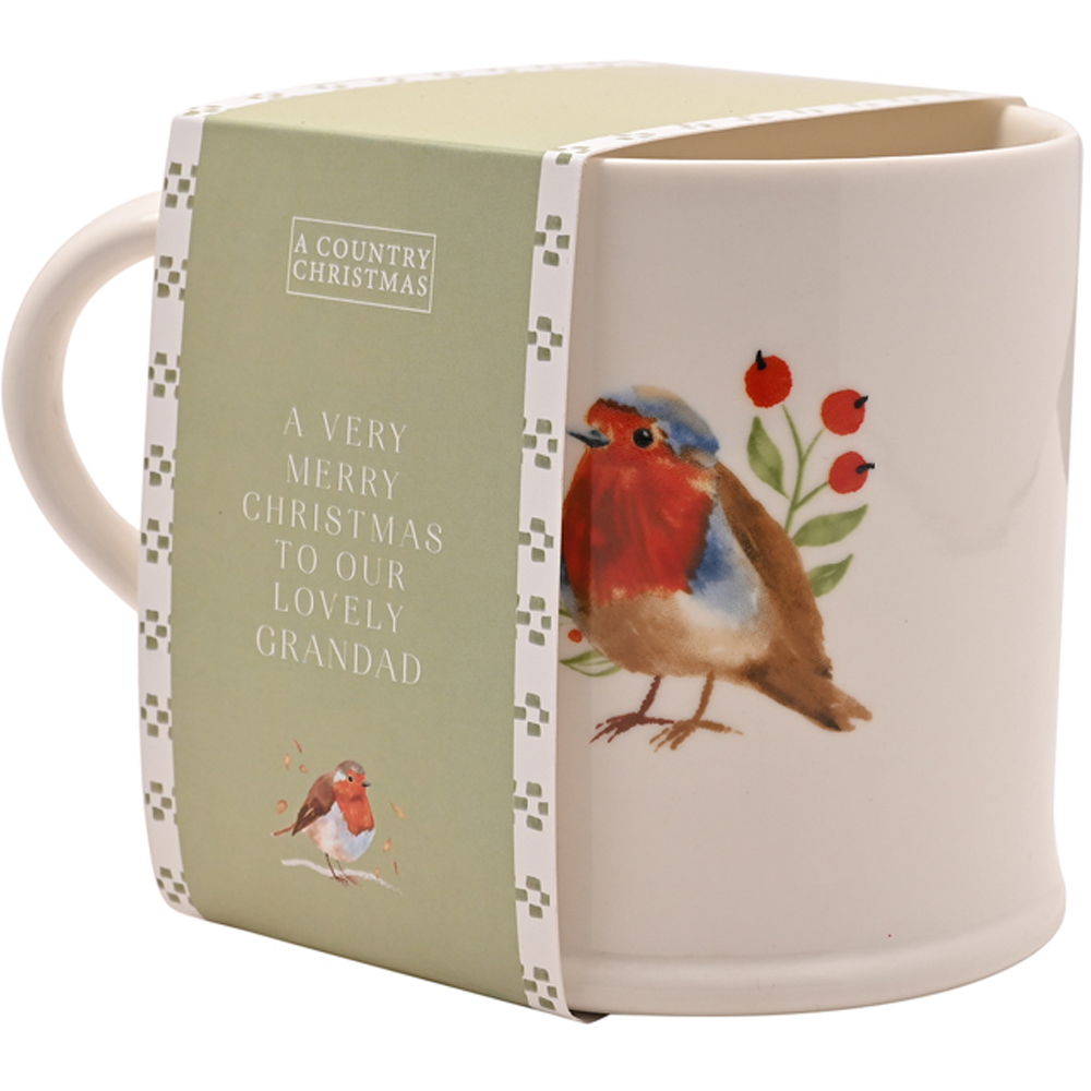 The Seasonal Gift Co. Robin Grandad Mug Image 3