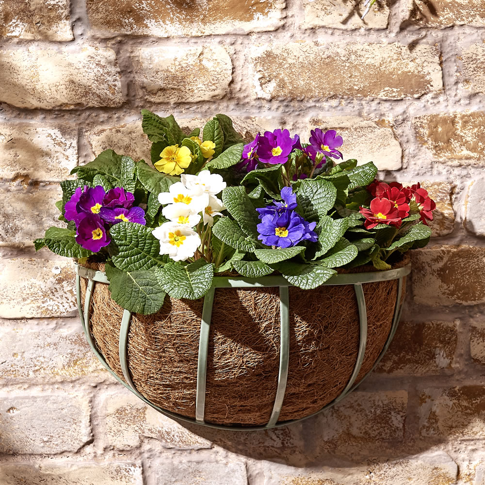 Wilko 35cm Wall Hanging Basket with Liner Image 3