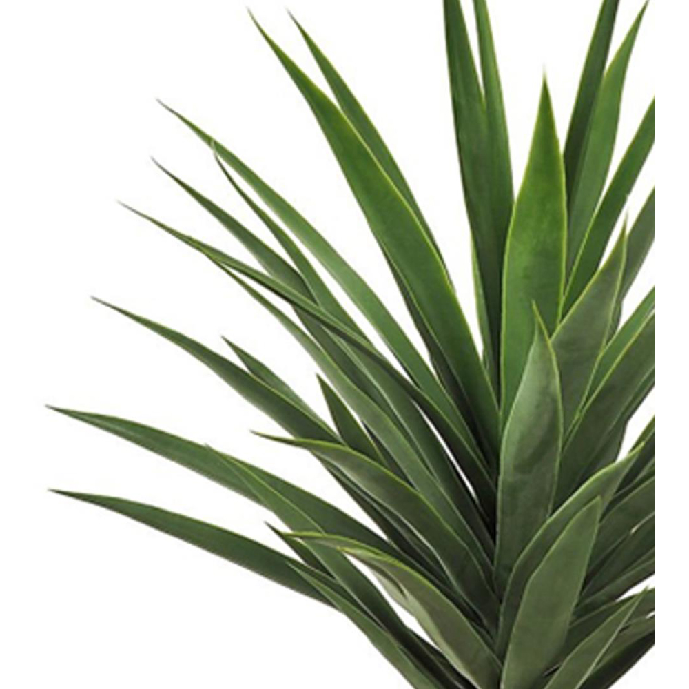 Leaf Yucca Artificial Plant Pot 75cm Image 2