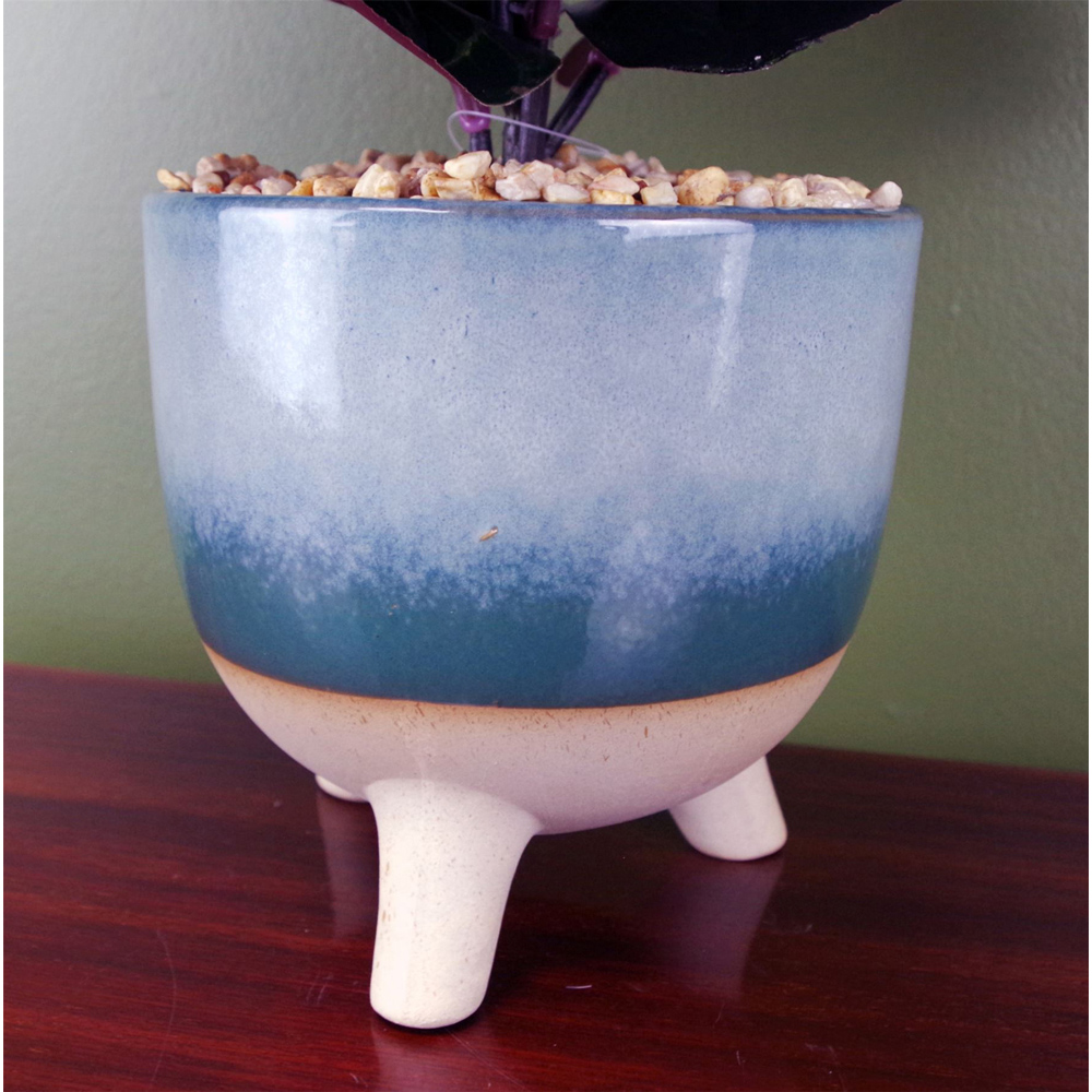 Botanik Artificial Ficus Plant in Teal Blue Green Ceramic Pot 35cm Image 3