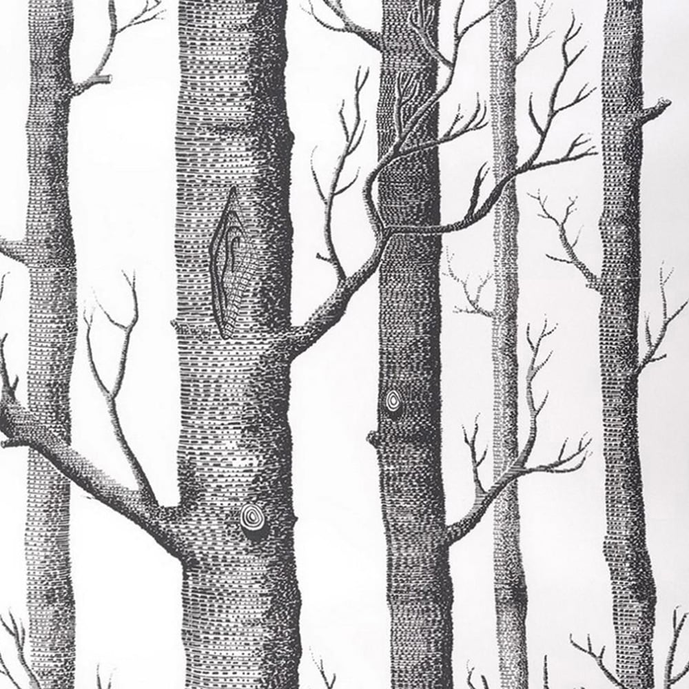 Living and Home Birch Tree Wallpaper Image 1