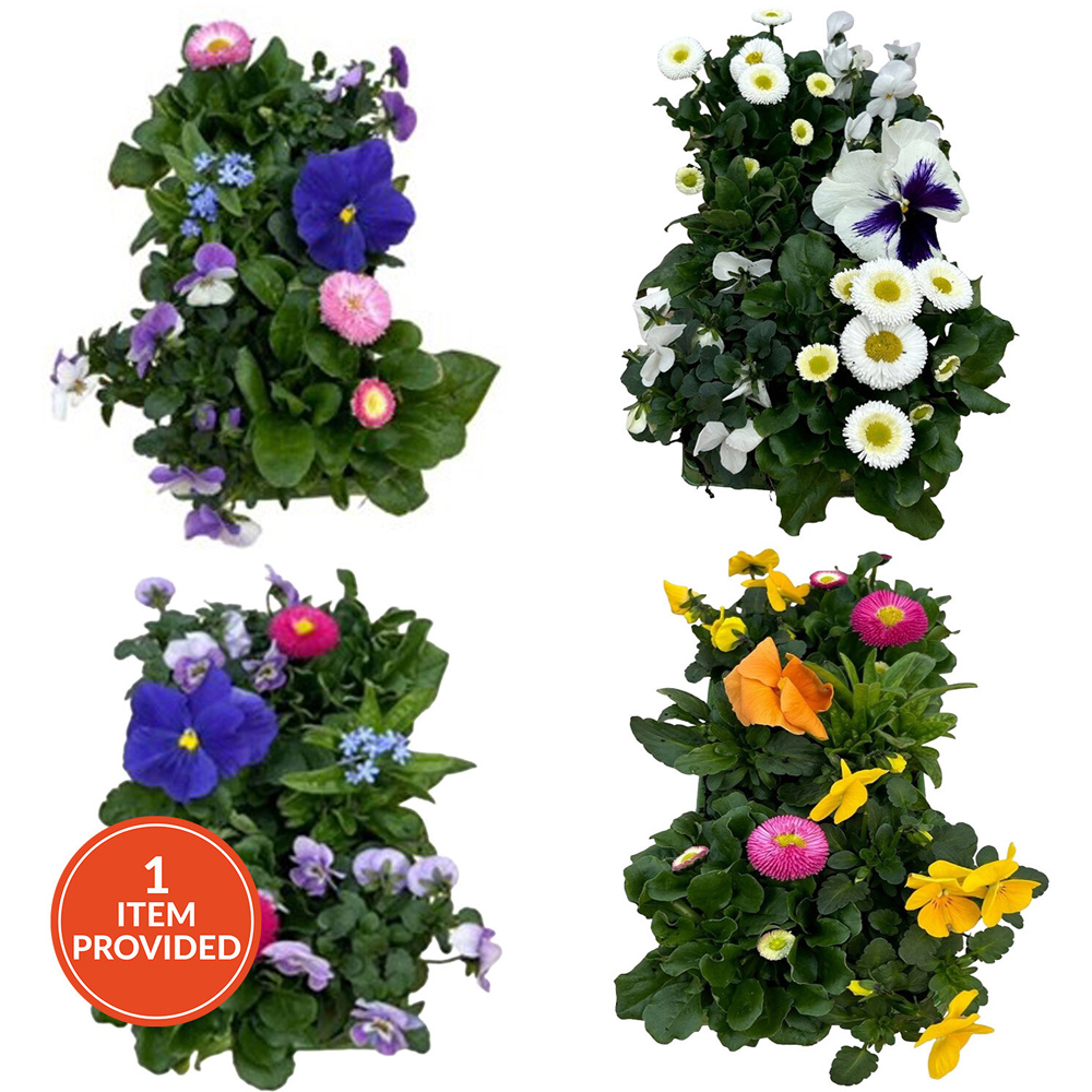 Large Mixed Flower Kit Image 1