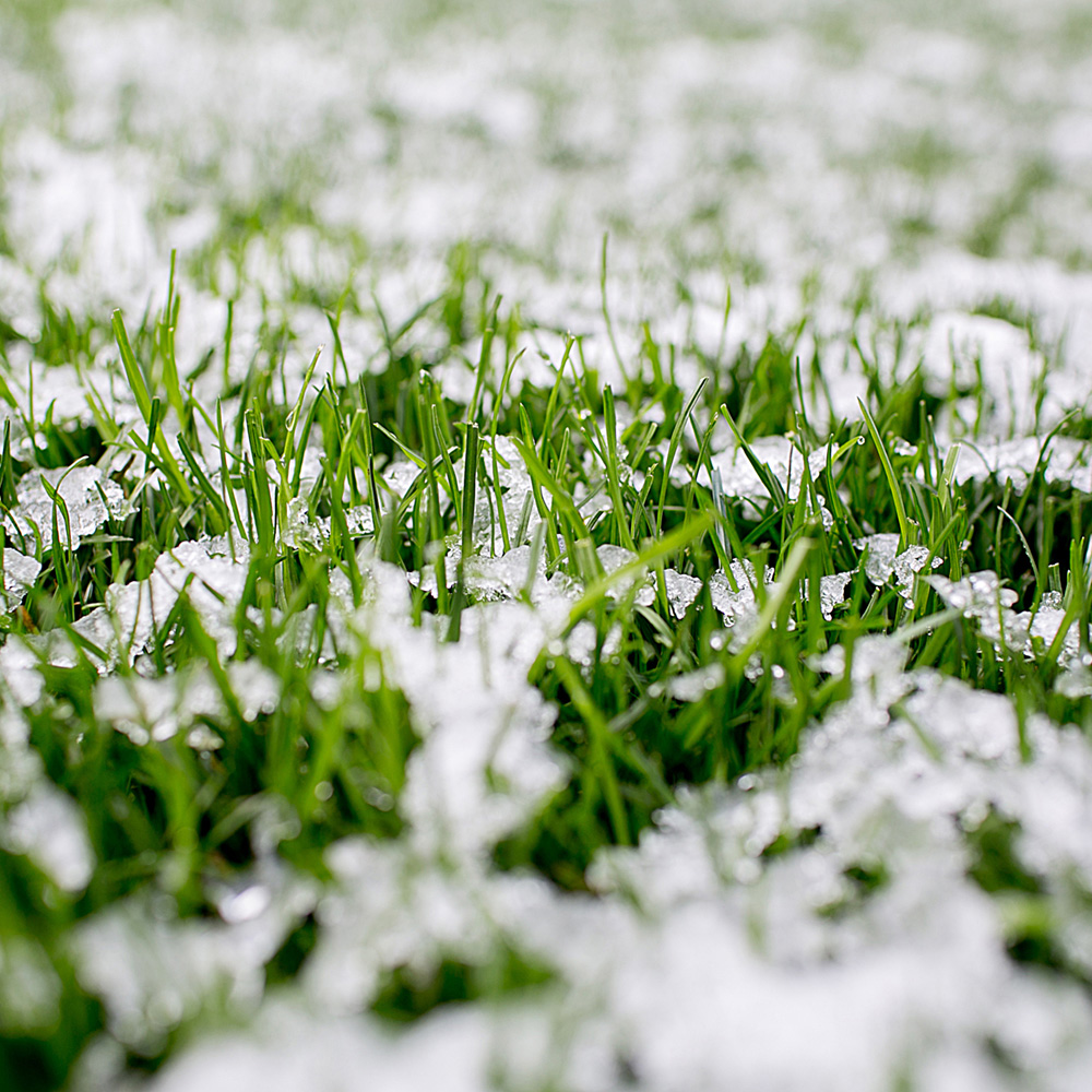 Harrowden Rejuvenator Autumn Winter Lawn Feed Image 2