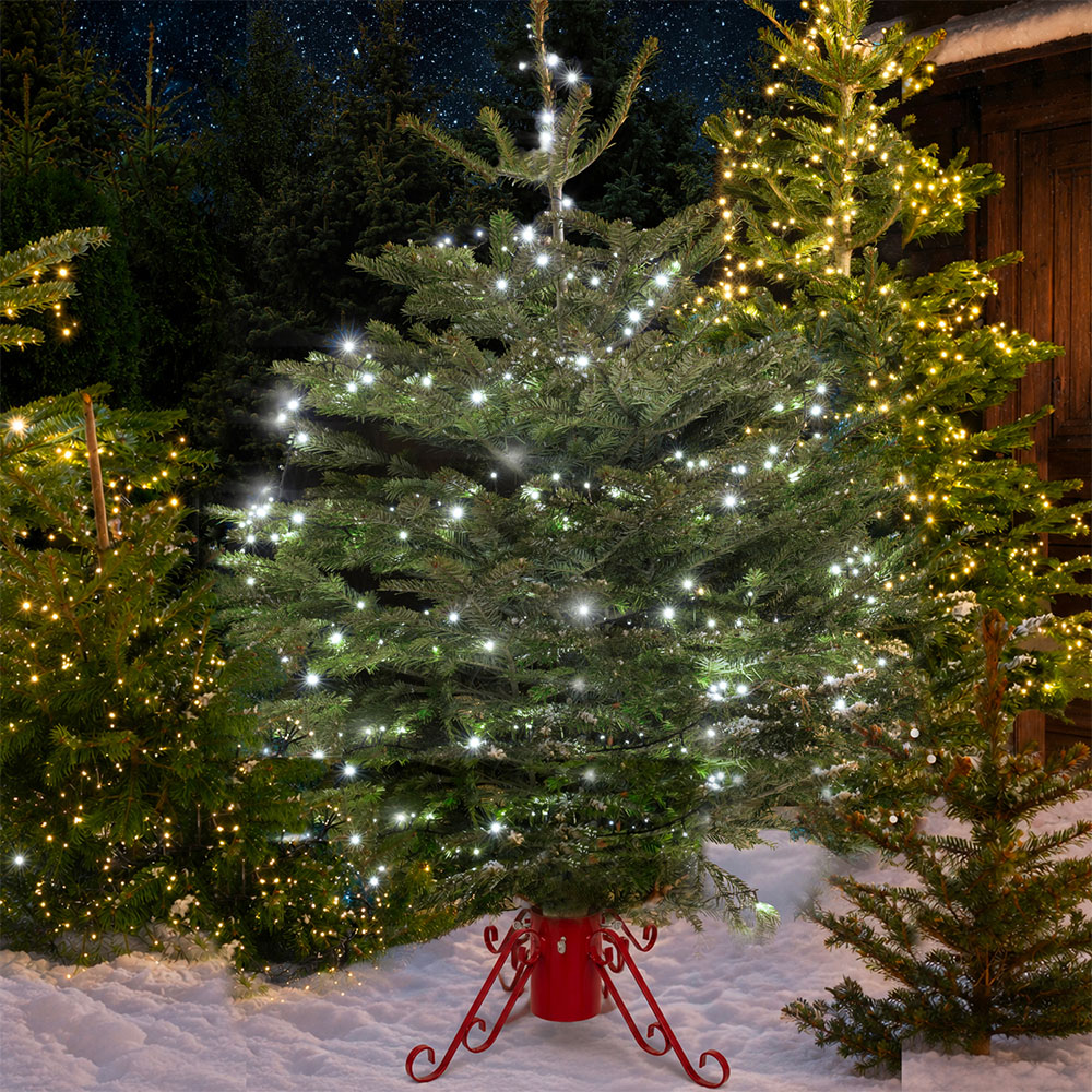 Nordman Fir Real Christmas Tree - Green / 6ft Image 2