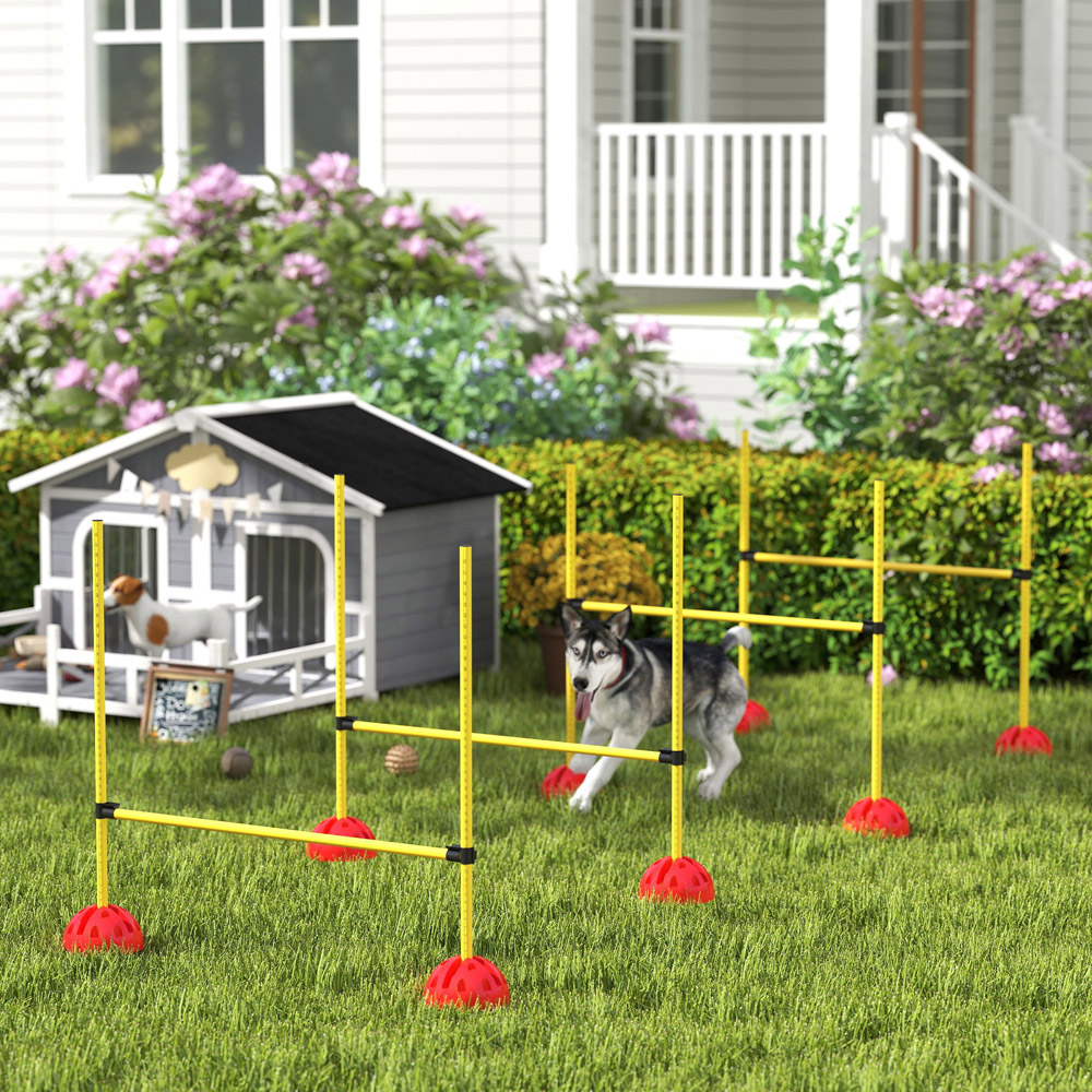 PawHut 4 Piece Dog Agility Set Image 2