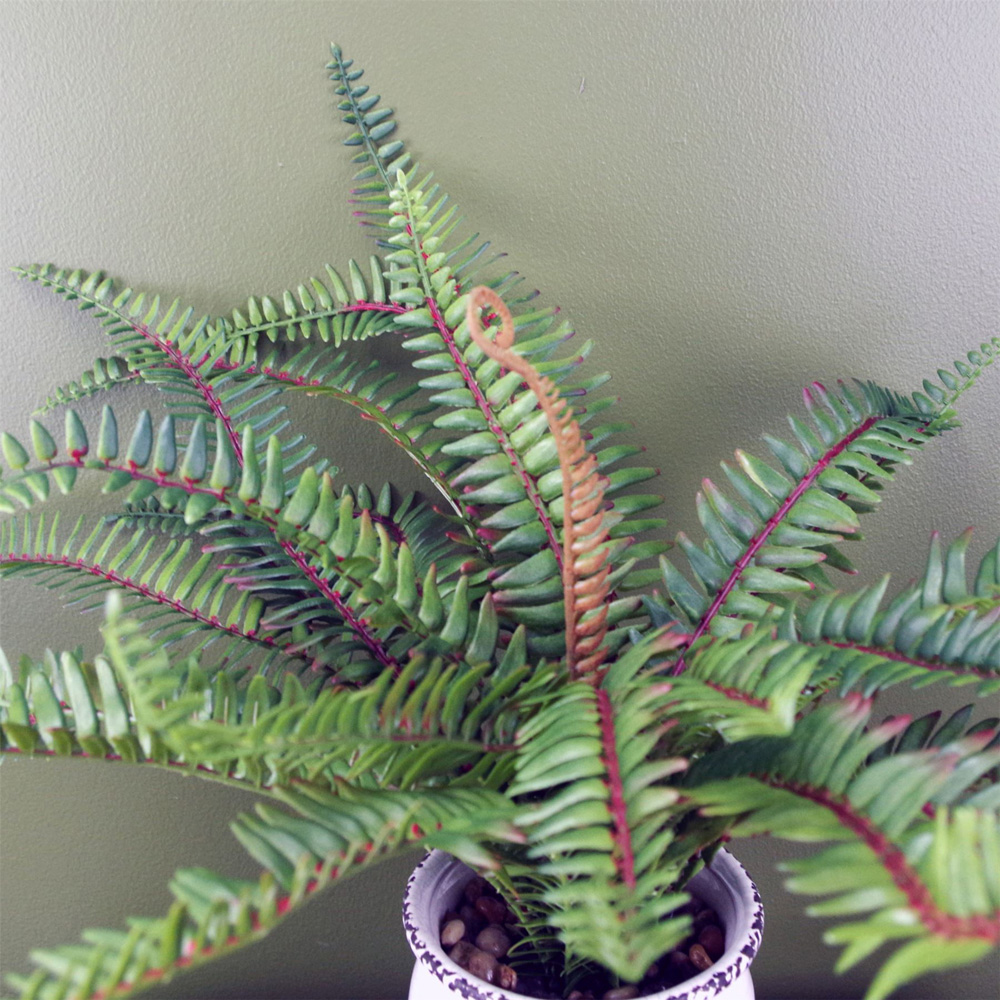 Botanik Fern Bush Artificial Plant in Ceramic Vase 40cm Image 3