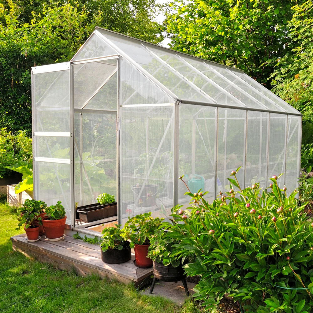 MonsterShop Silver Polycarbonate 6 x 10ft Greenhouse Image 2