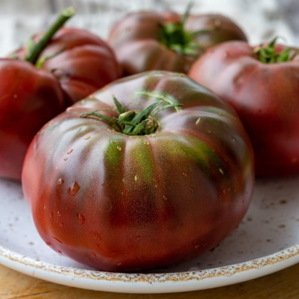 Thompson and Morgan Nurserymans Choice Grafted Vegetable Plant Pot 9cm Image 2