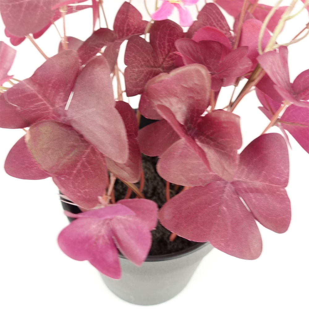 Leaf Purple Shamrock Pink Flowers Artificial Plant in Pot 30cm Image 2