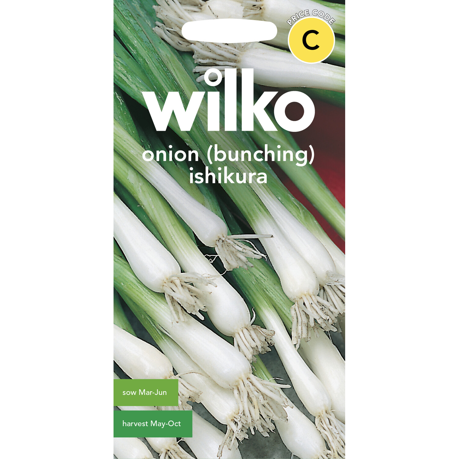Wilko Bunching Ishikura Onion Seeds Image 1