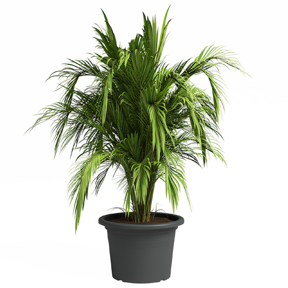 Artevasi Venezia Cilindro Anthracite Planter 45cm Image 3