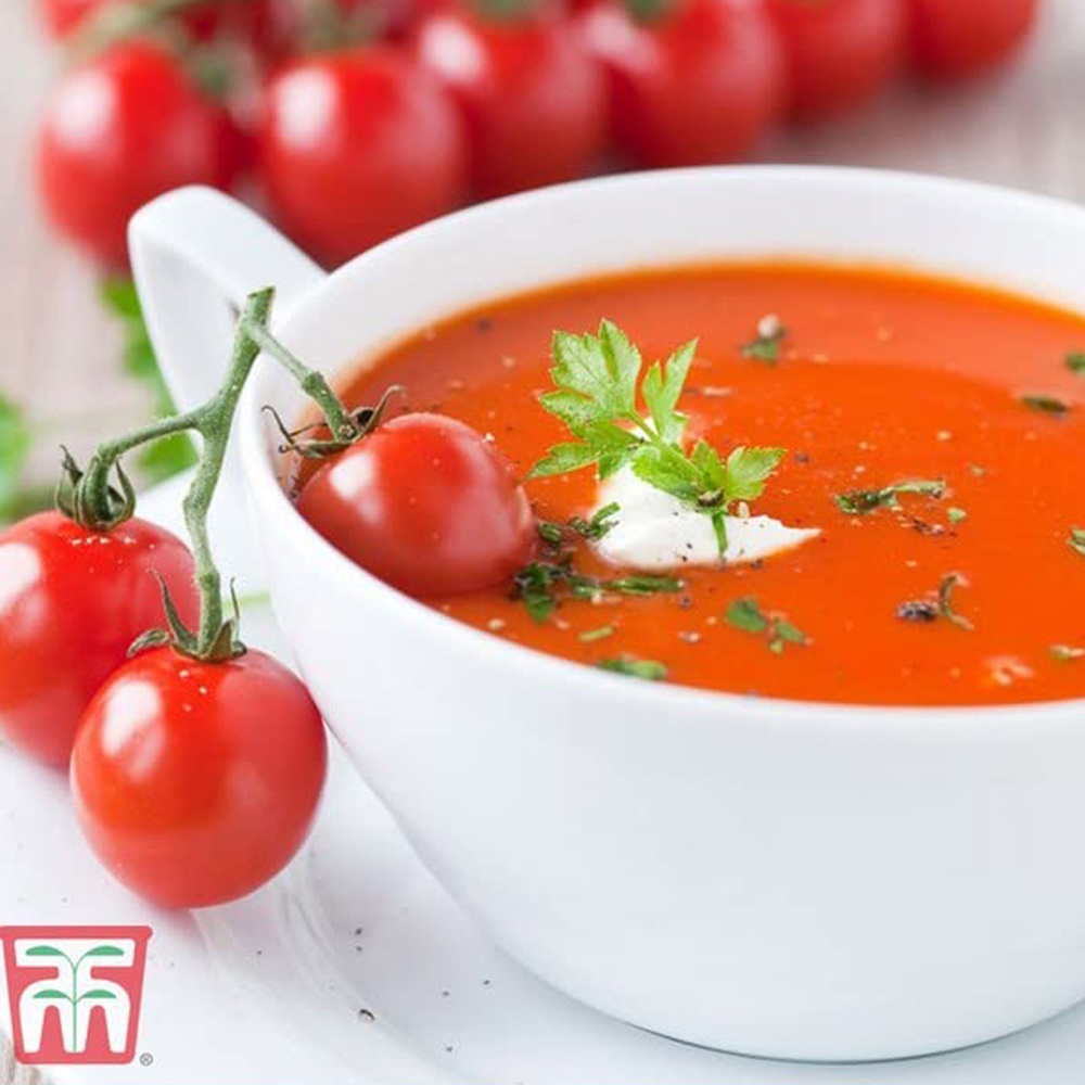 Thompson and Morgan Tomato Buffalosteak F1 Seeds Image 4