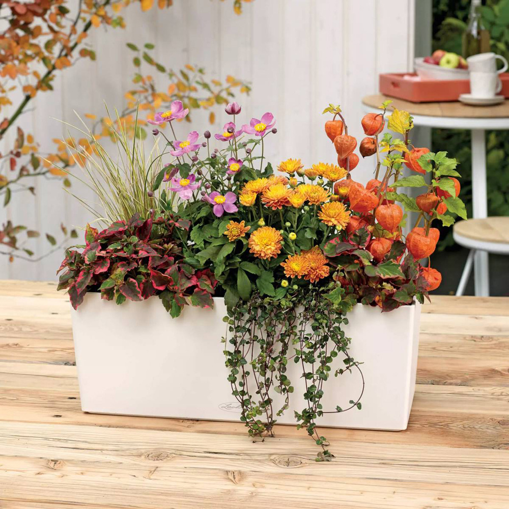Lechuza Balconera White Polyresin Self Watering Window Box Planter 50cm 2 Pack Image 2
