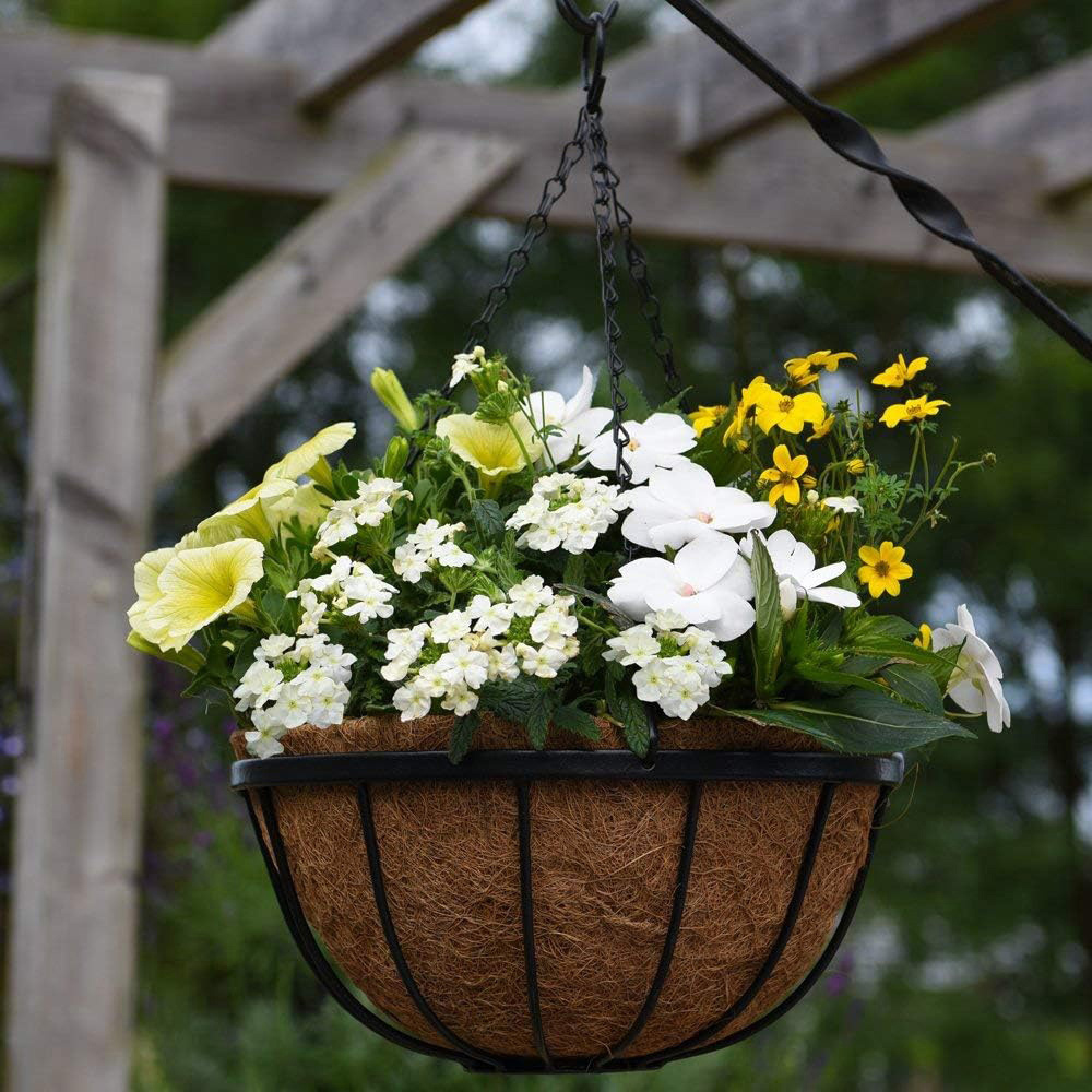 Garden Grow Hanging Basket and Liner Image 5