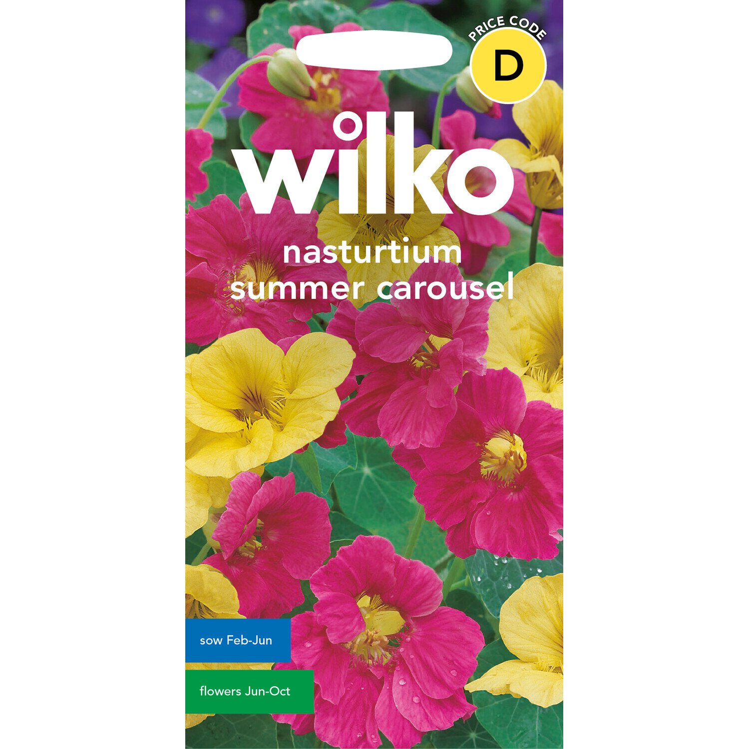 Nasturtium Summer Carous Seeds Magenta and Yellow Image 1