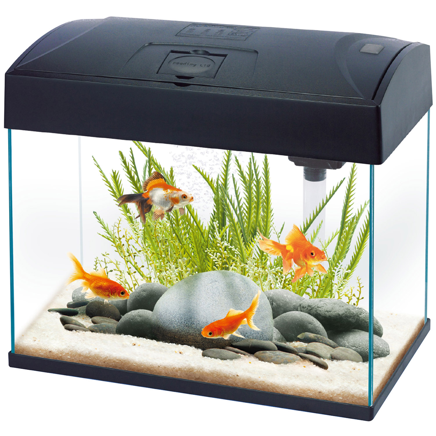 Fish R Fun Black Rectangular LED Fish Tank 20L Image