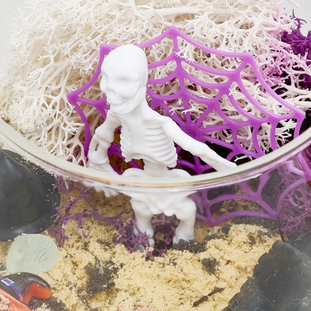 H&O Direct Kids DIY Skull LED Terrarium Kit with Remote Image 5