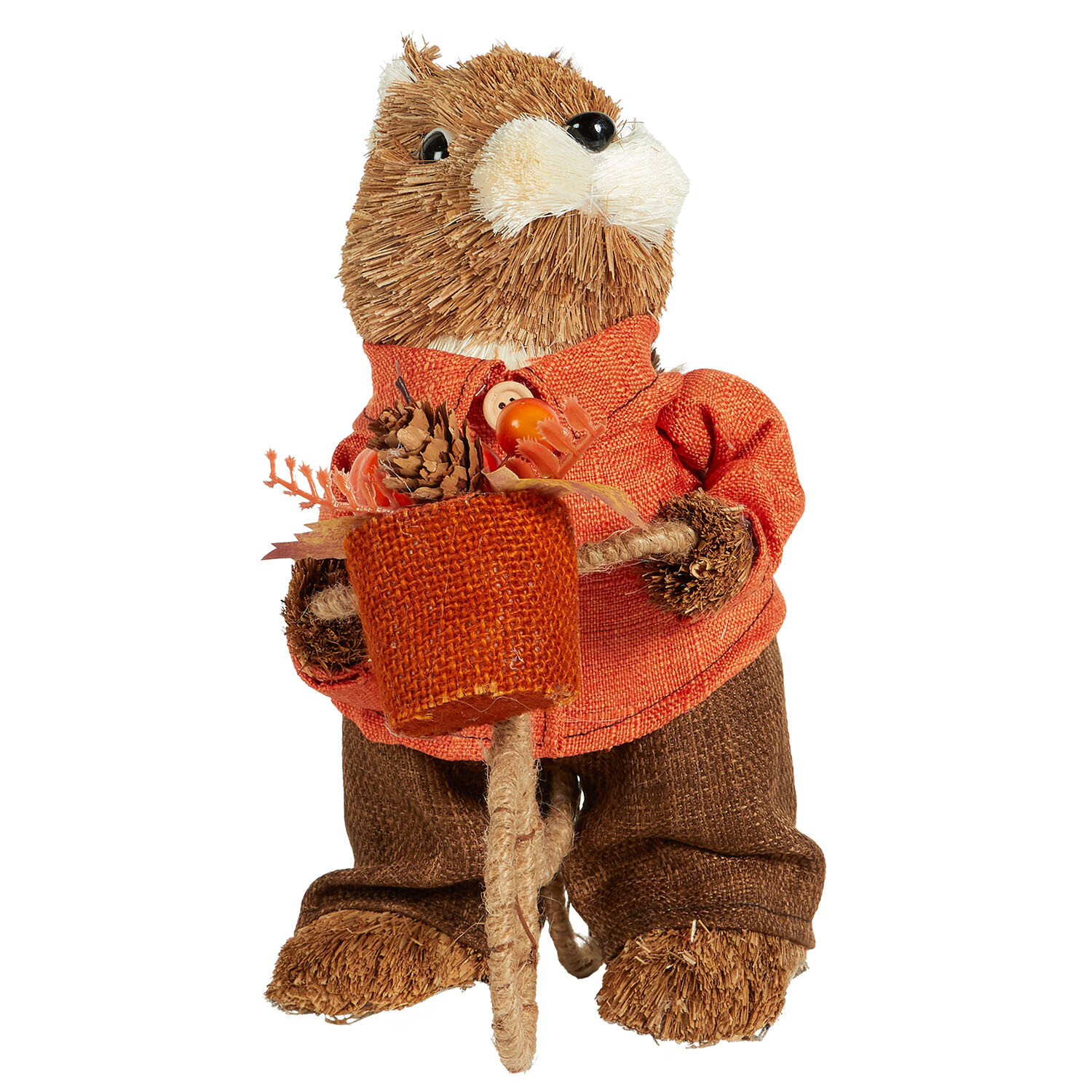 Autumnal Squirrel Brown and Orange Image 3