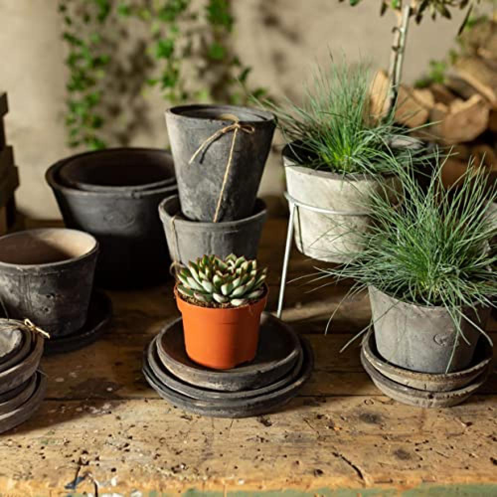 Fallen Fruits Grey Terracotta Round Pot 25.7cm 3 Pack Image 3
