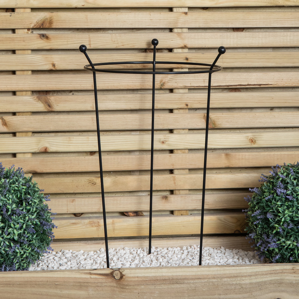 Samuel Alexander Steel Black Herbaceous Garden Plant Support Ring 60 x 35cm Image 4