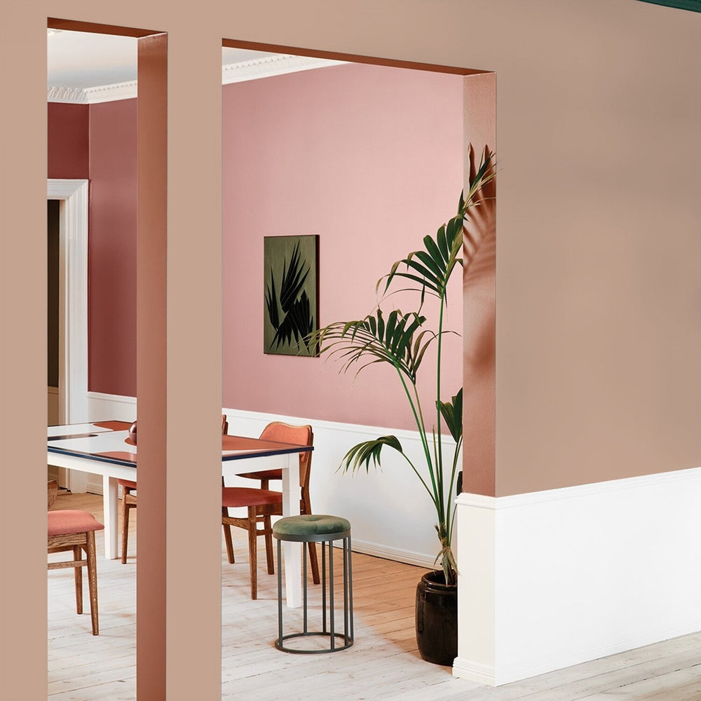 Johnstone's MY Colour Luxurious Durable Matt Paint Sombrero Tan Image 5