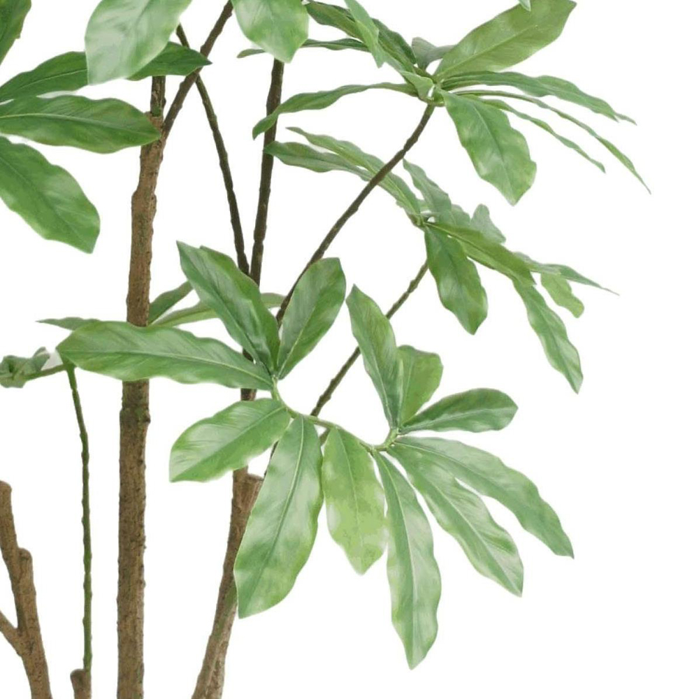 Botanik Dwarf Umbrella Artificial Tree in Pot 5ft Image 2